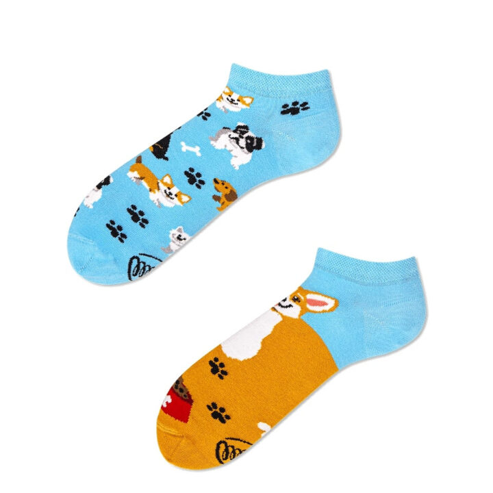 Playful Dog low socks