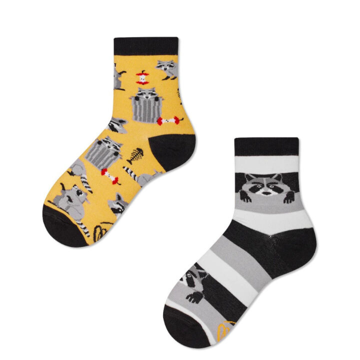 raccoon bandit socks